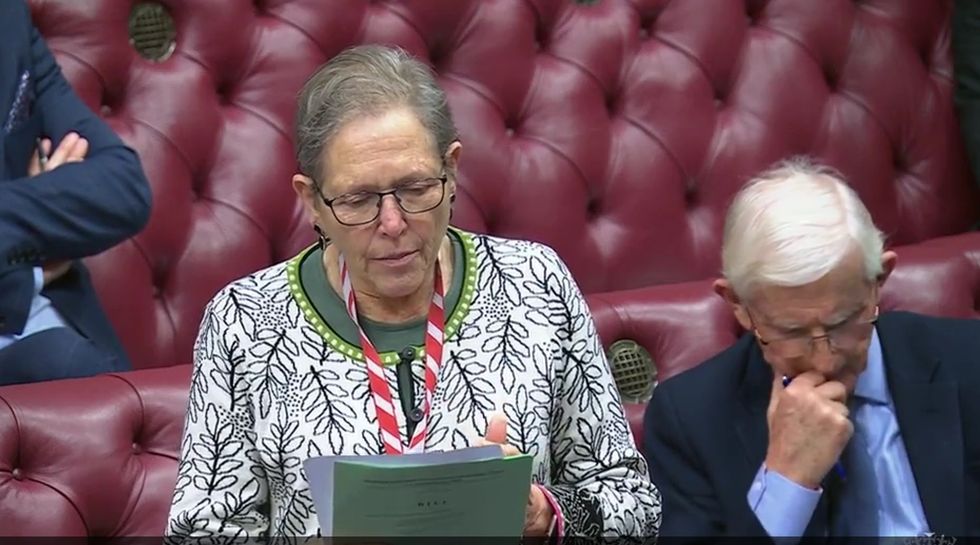 Baroness Kramer Liberal Democrat