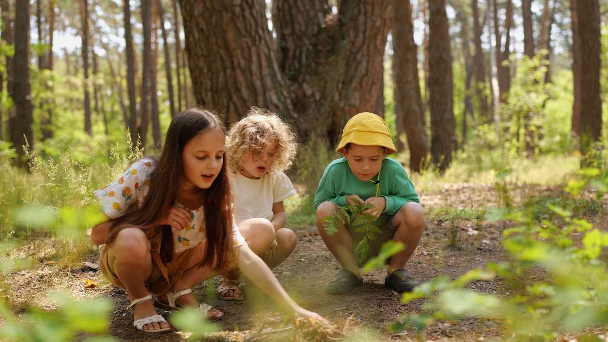 Children missing out on independent outdoor play, screen time up