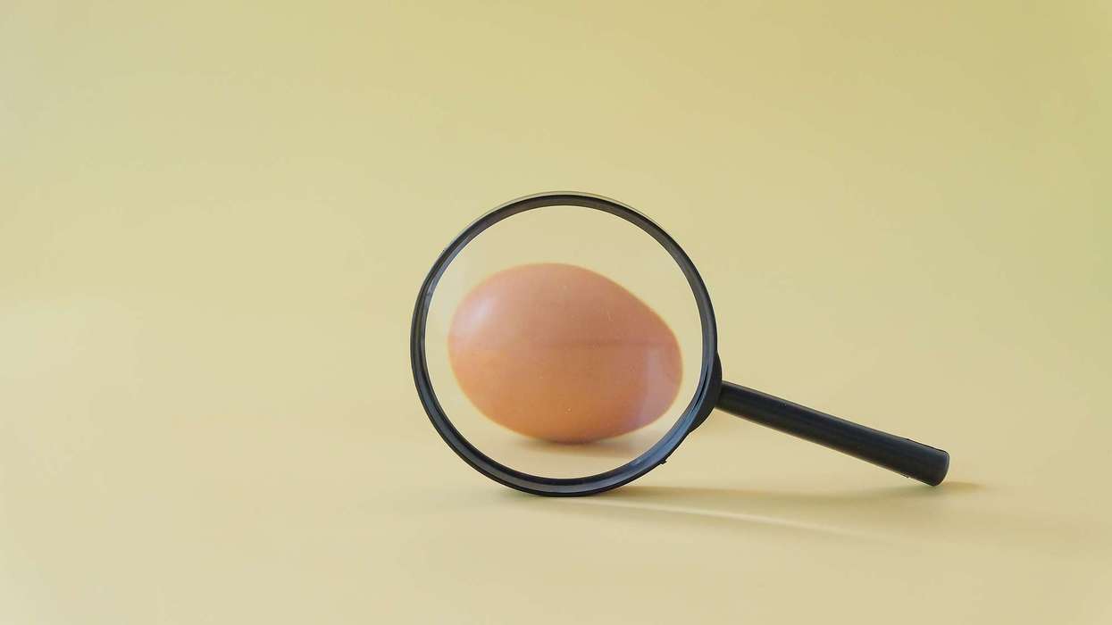 Children, pregnant women should eat thoroughly cooked eggs to keep Salmonella at bay: FSA