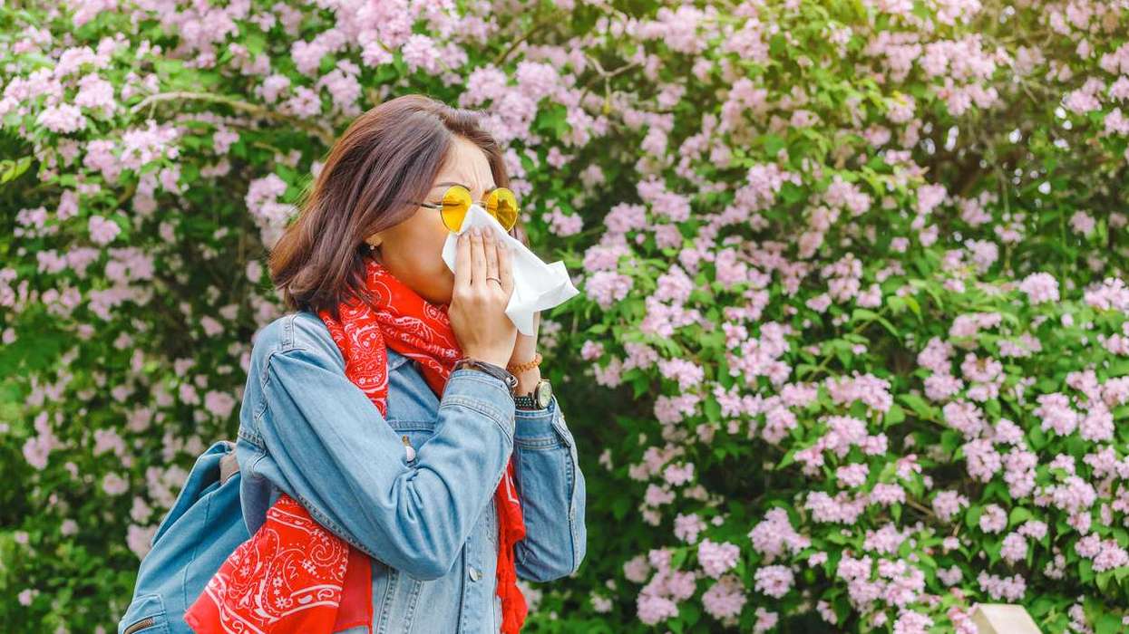 Climate change extends pollen season Study
