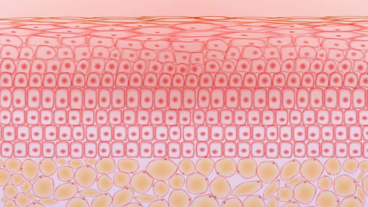 Exploring Winter Skin