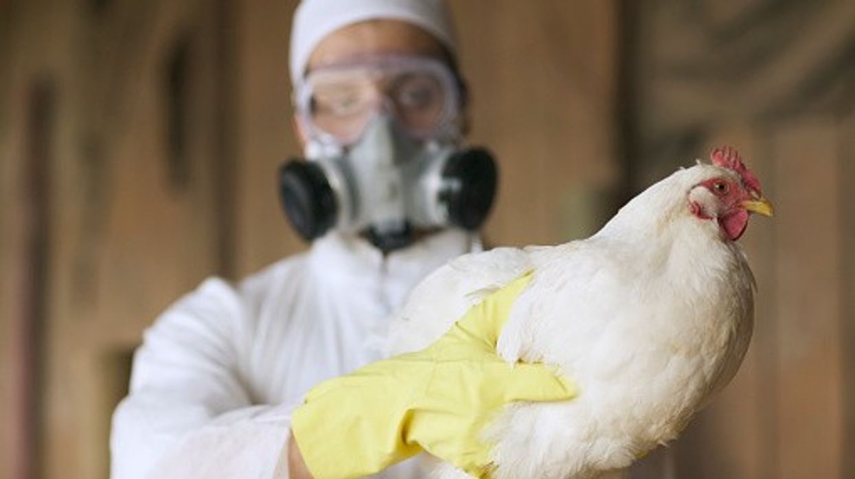 Human case of bird flu