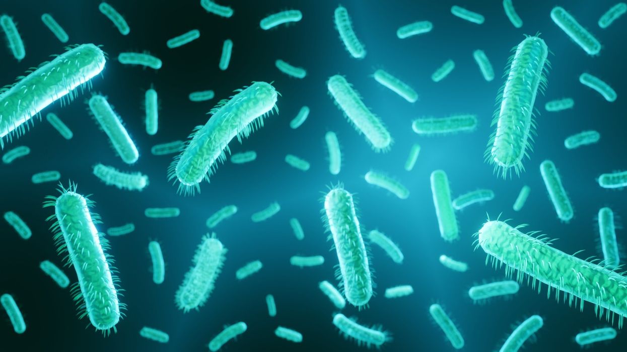 E. coli (STEC) outbreak: Tips to reduce your risk of gastrointestinal infections