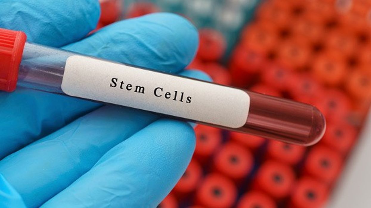 New bioengineered bone marrow model offers hope for blood cancer therapy