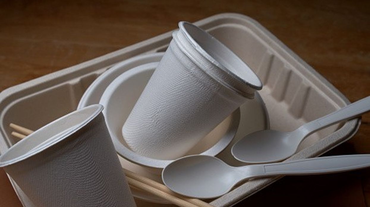 Do not sell plastic containers or utensils containing bamboo: Businesses in Great Britain told