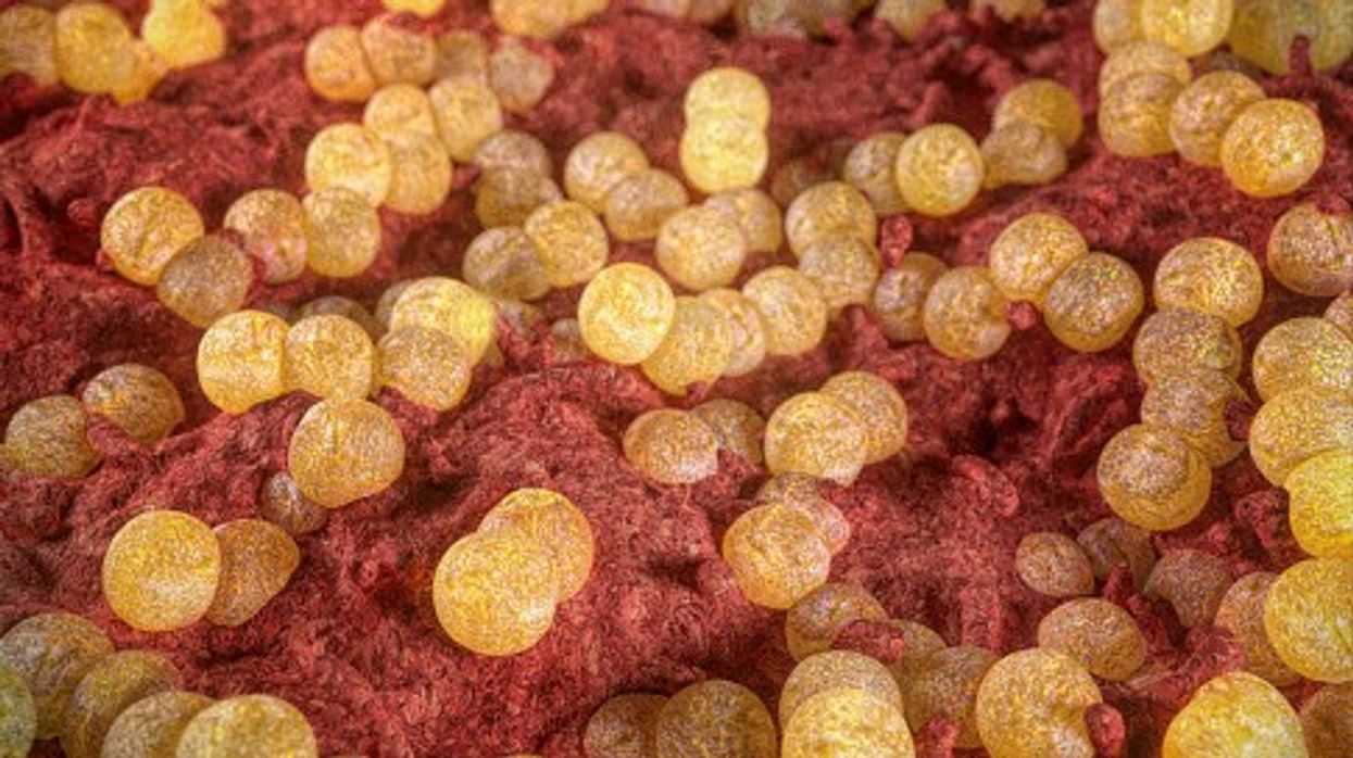 Antibiotic-resistant gonorrhoea surge in England, UKHSA advocates for regular STI testing