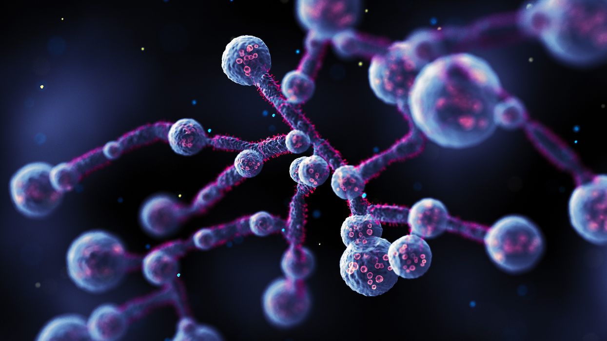 Humanin Peptide: A Mitochondrial-Derived Factor with Potential Implications for Cellular Research