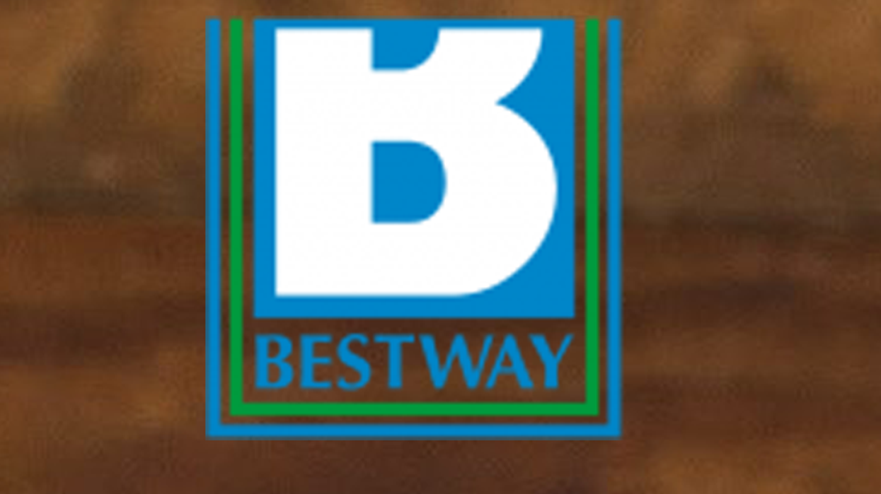 Bestway Group thrives amid market changes with 5% rise in revenue