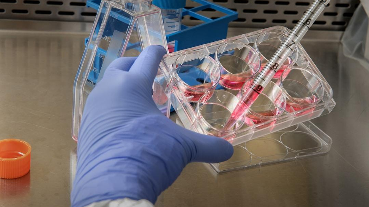 Tips for Becoming a Medical Lab Scientist