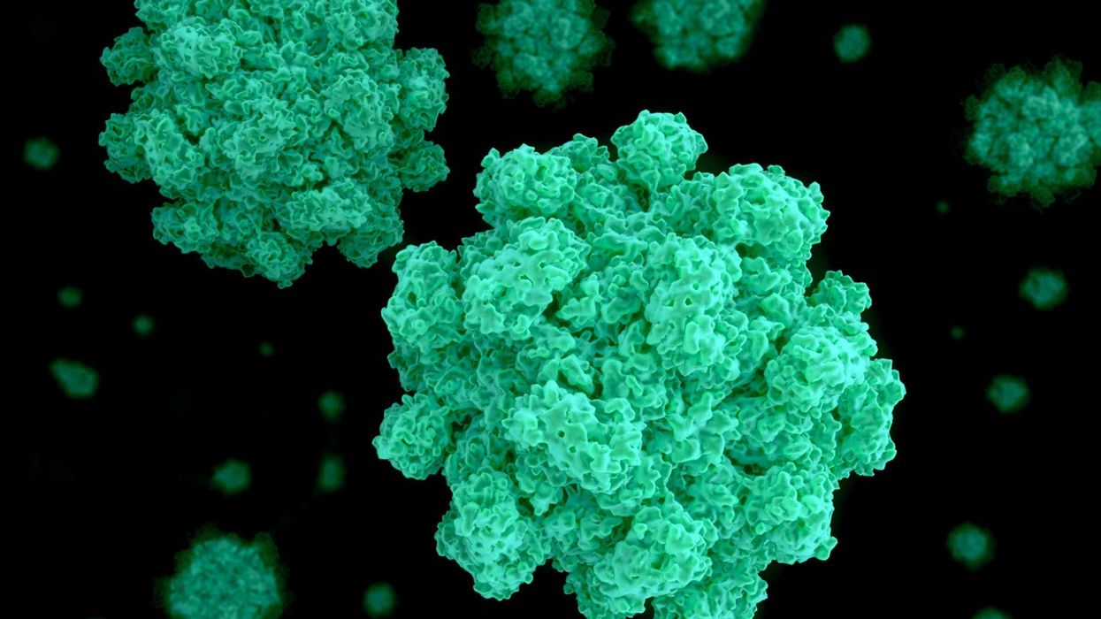 Norovirus Surge Sparks Concerns