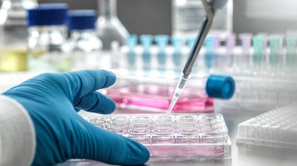 Pharma firms reluctant to invest in UK