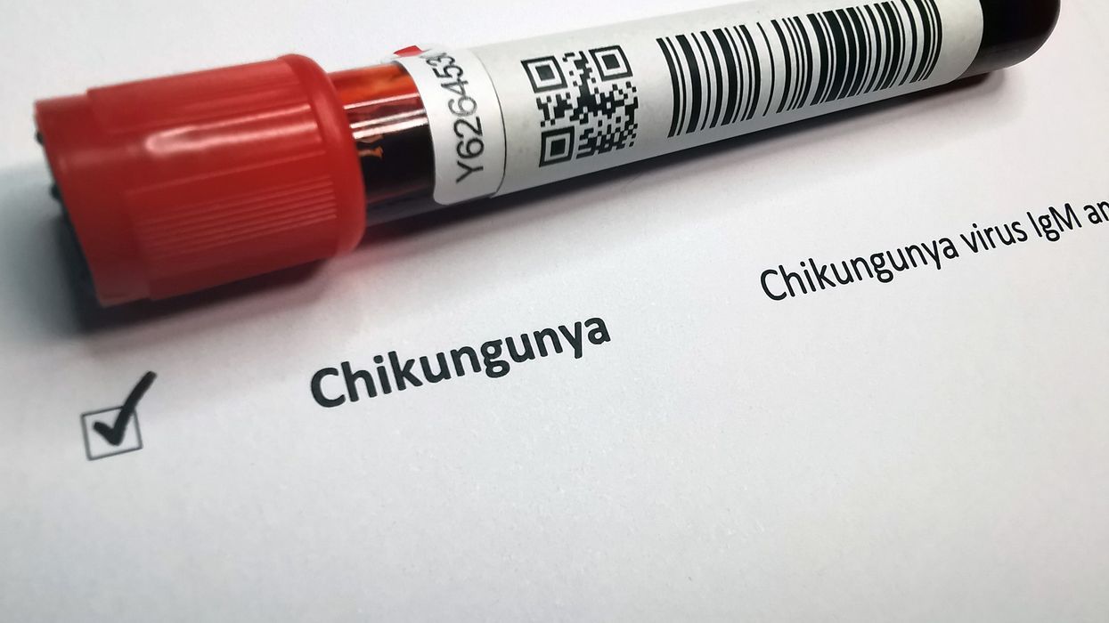 Sharp rise in chikungunya cases among UK travellers returning from abroad
