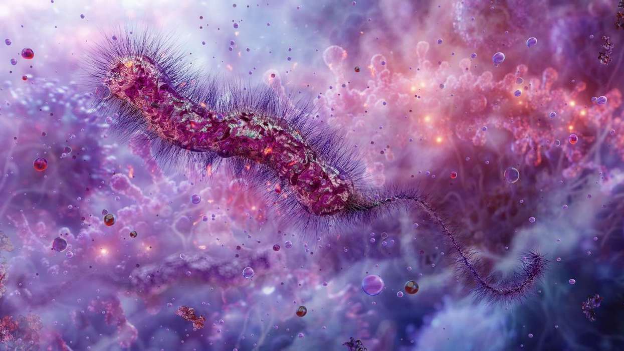 UKHSA probes rise of Legionnaires' cases in London