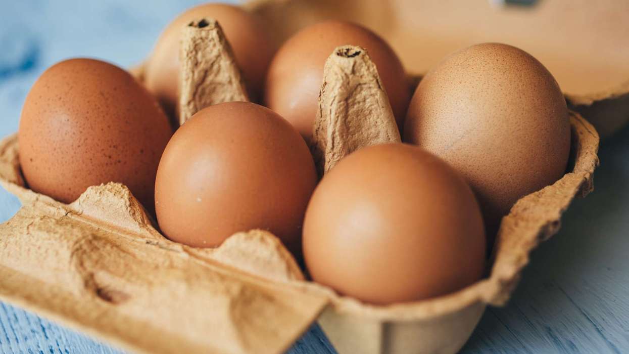 Ukrainian eggs recalled over salmonella link