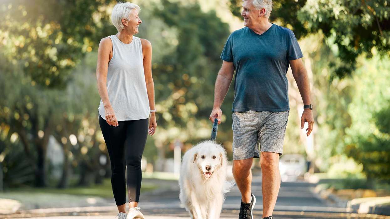 Weekly brisk walking slows bone loss: Study