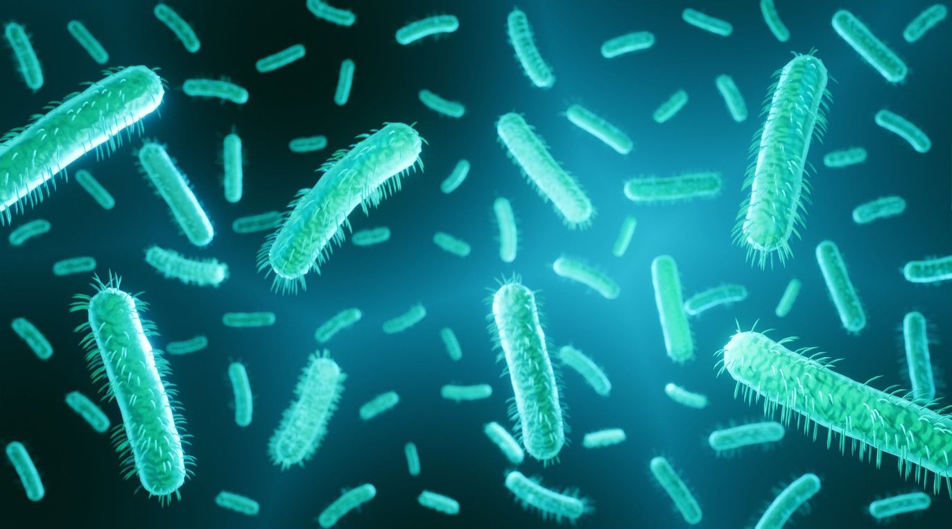 E. coli (STEC) outbreak Tips to reduce your risk of gastrointestinal
